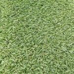 FB_IMG_1739320718865