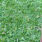 S3faaf3dca46d406fb45d0b5cd3af474aR.jpg_720x720q80