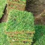 Sec95a3be66e5486984f7f74bcaaad9d23.jpg_720x720q80