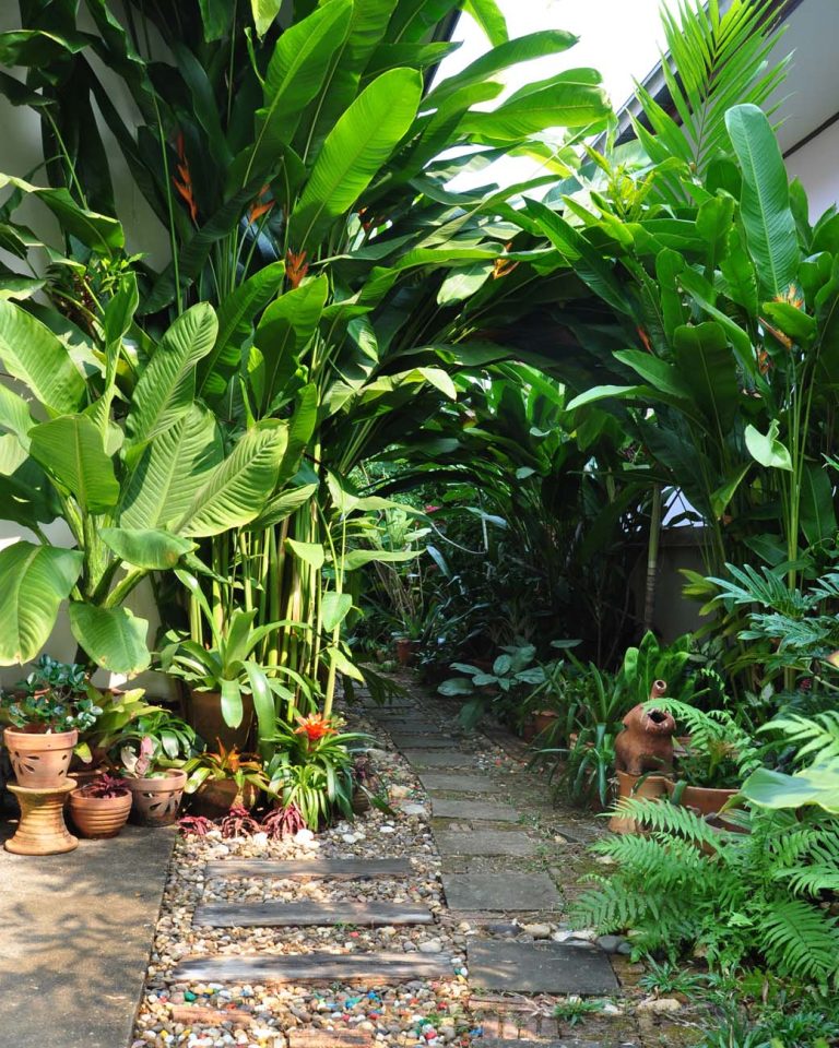 TAMAN TROPIS