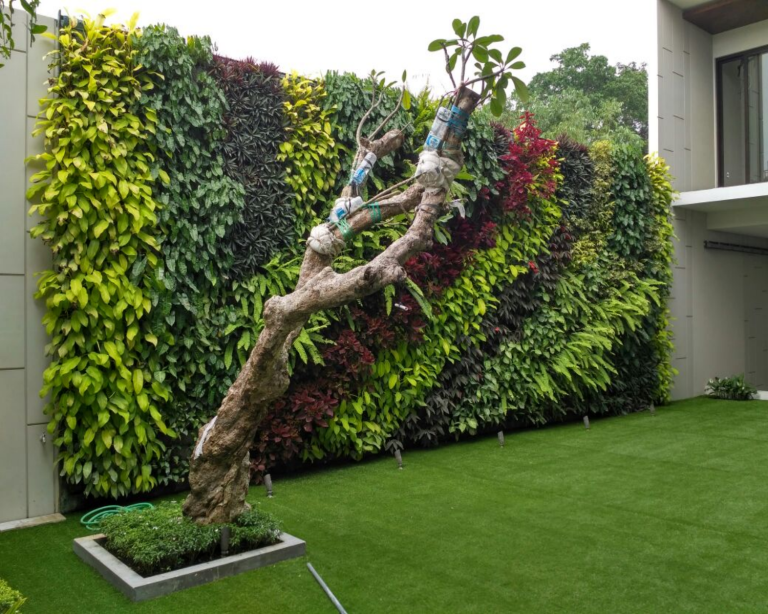 tukang taman vertikal